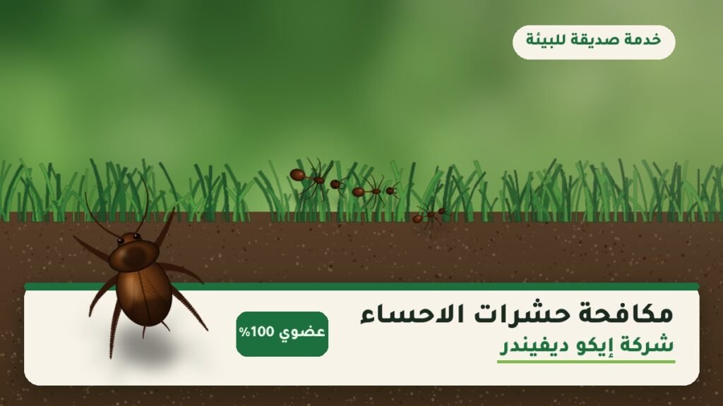 مكافحة حشرات الاحساء – شركة إيكو ديفيندر